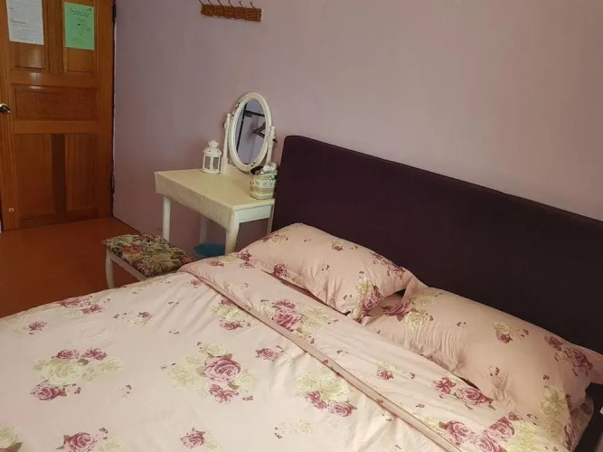 Hostel Green520