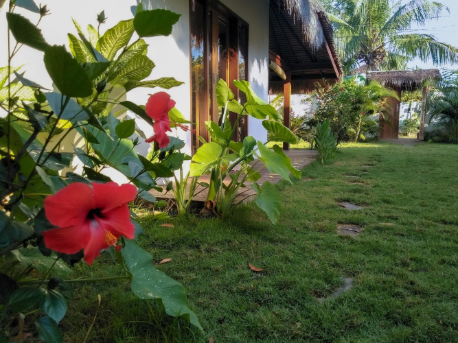 Delima Homestay