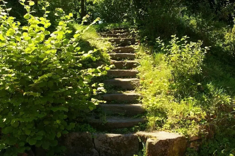 Gite Les Roseaux