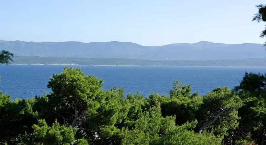 Villa Dalmatia Apartments