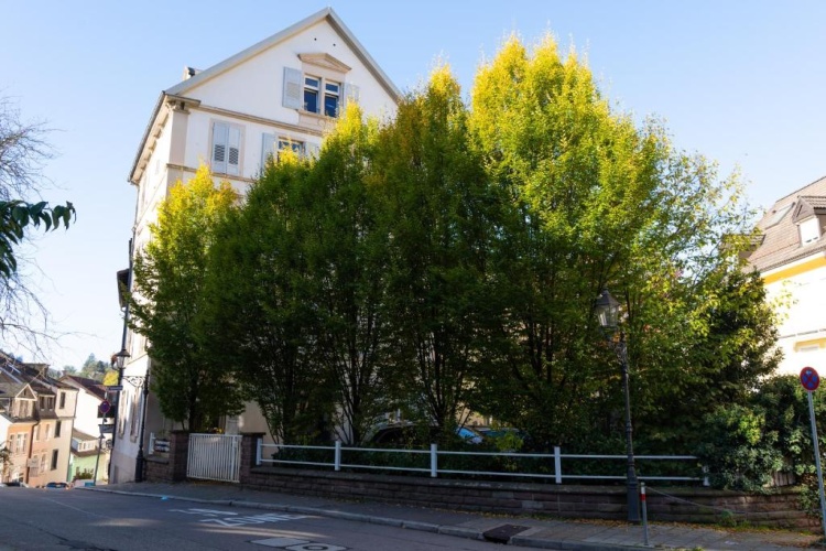 1 Bedroom Double Apartment