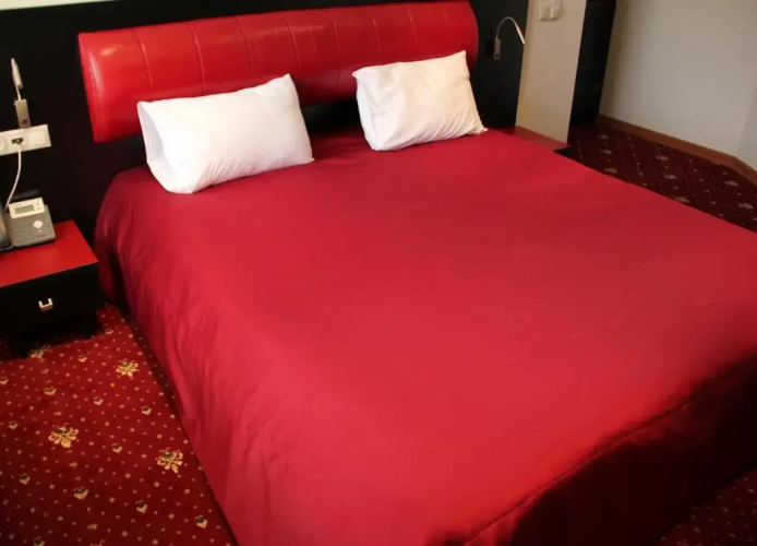 Фотография номера гостиницы Hotel Villa Palace