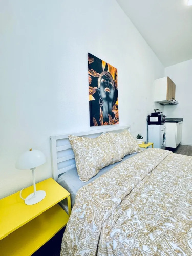 Cozy and Affordable Palace Studio