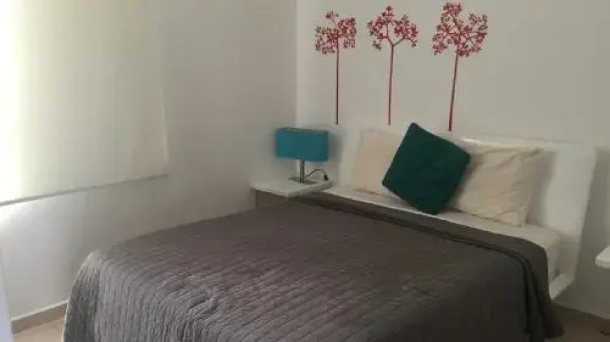 Luxury Modern Bahia Principe Condo