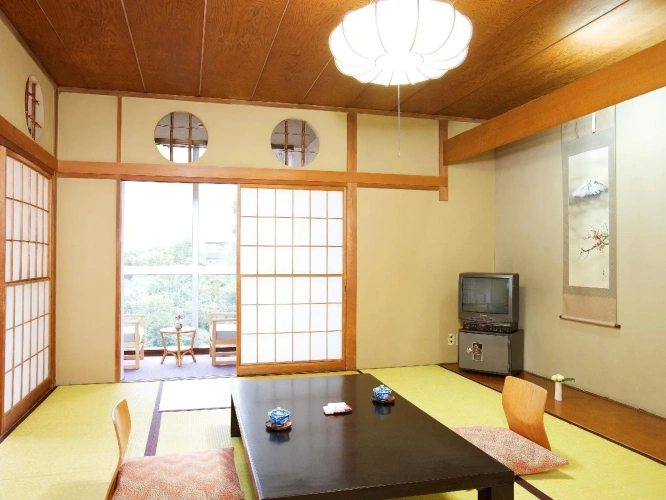 Standard Twin room with view