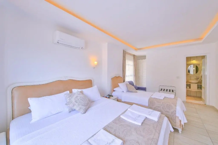 Deluxe Triple room