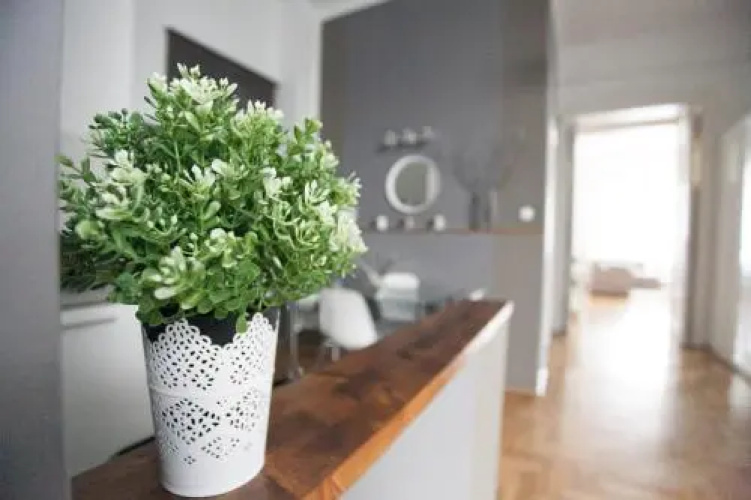 Royal Center Apartment