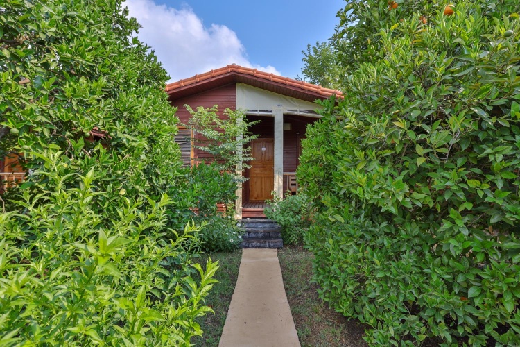 Double Bungalow with garden view