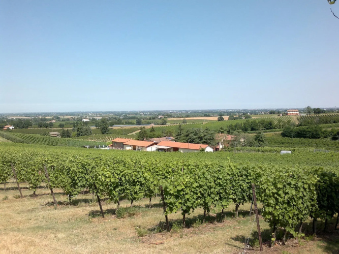 La Sabbiona Farm