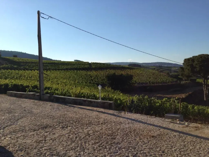 Quinta Dos Espinheiros