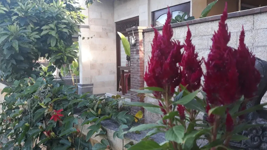 Dukuh Village Homestay