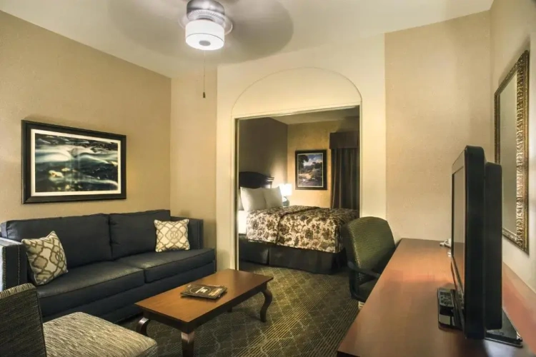 Standard Suite