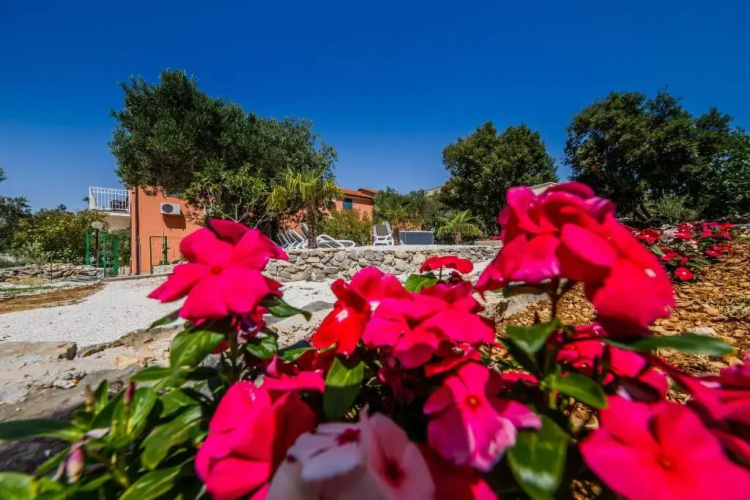 Villa Rustica Dalmatia Apartments