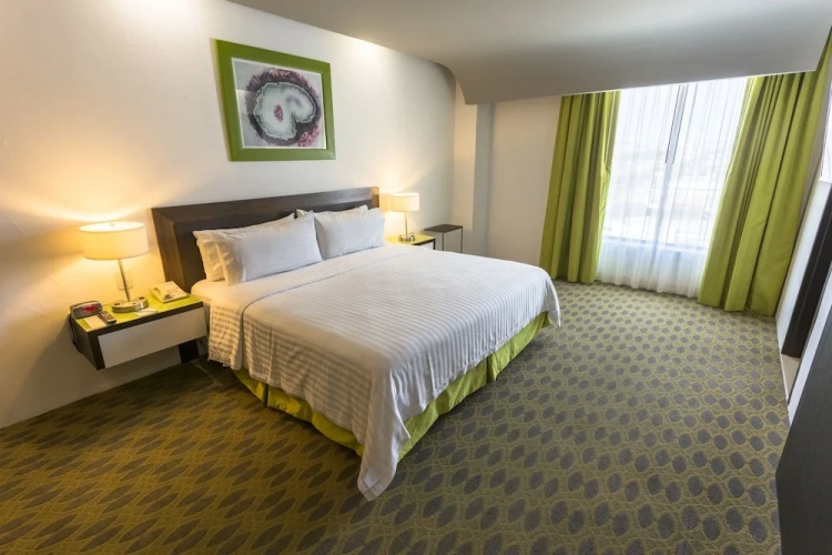 Standard Double room with city view