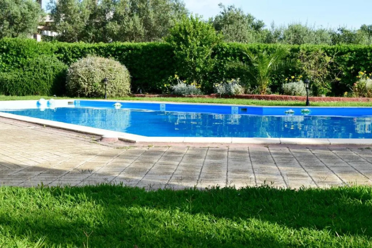 Dendrolivano Studios & Apartments