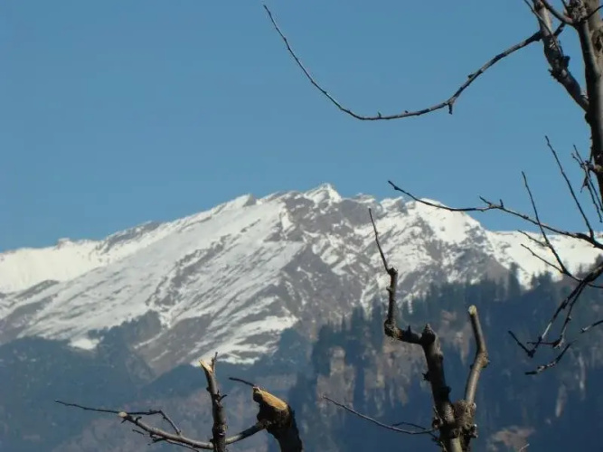 Dewdrop Himalayan Ecstasy