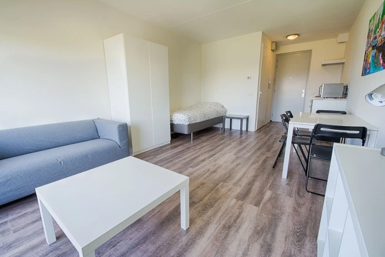 Standard Suite