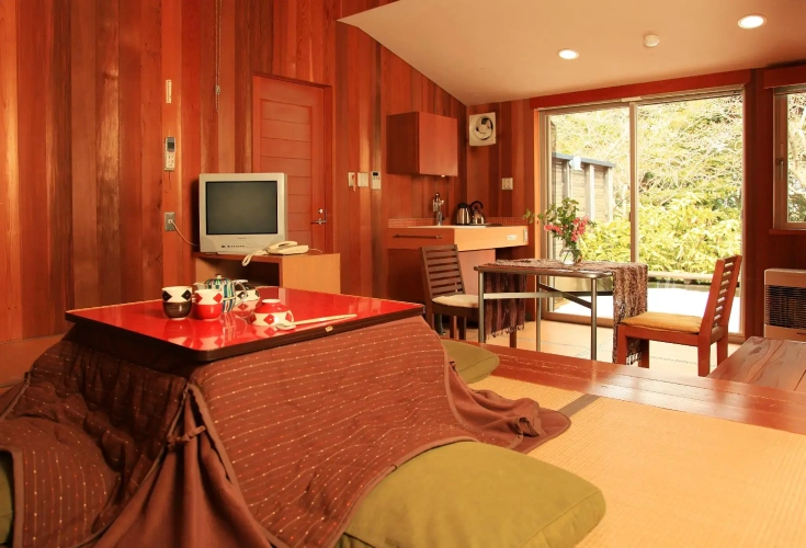 Standard room with mountain view