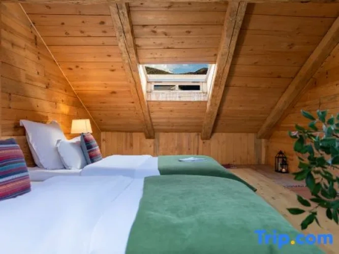 Twin Suite