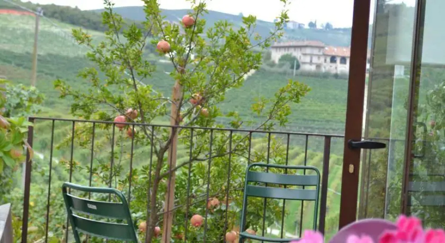 Agriturismo Il Cortile