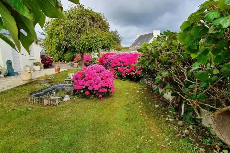 3 Bedrooms Cottage