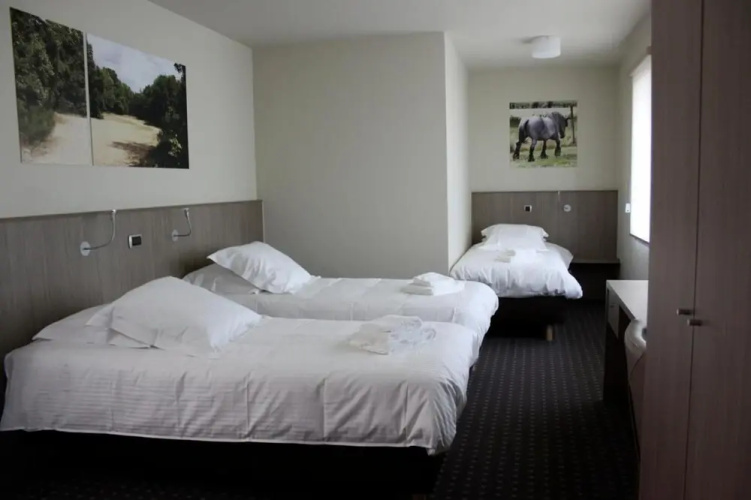 Hotel Otus