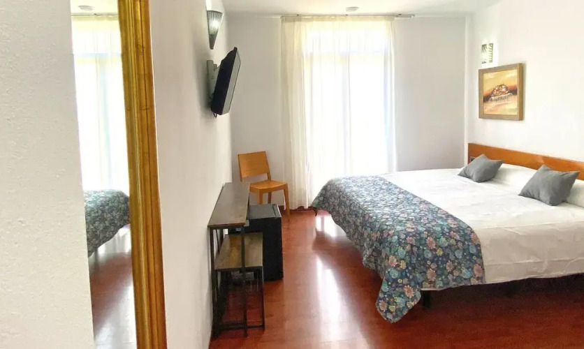 Hotel Plaza Inn Over view