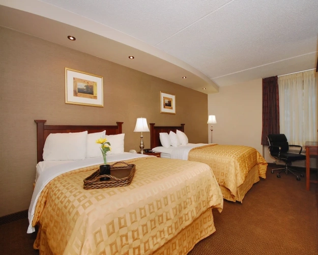 Standard Quadruple room with pool view