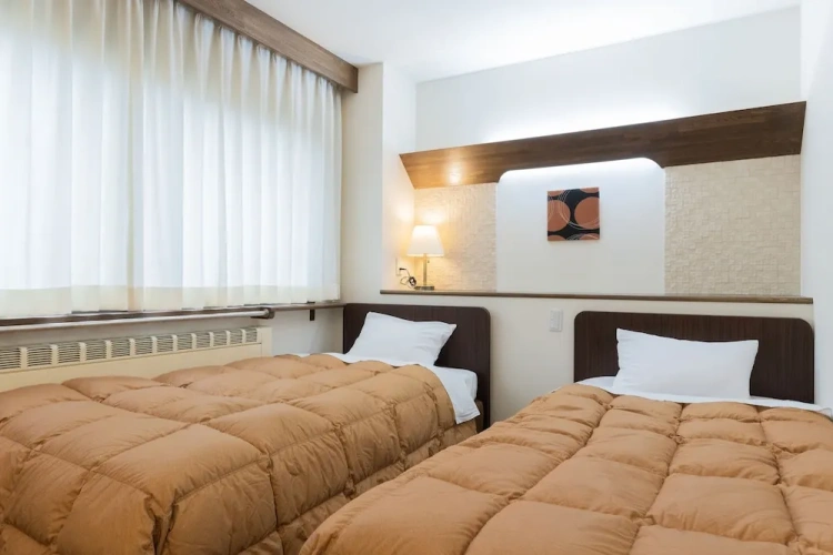 Economy Twin room