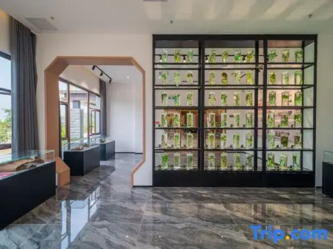 Yaowanggu Kangyang Hotel