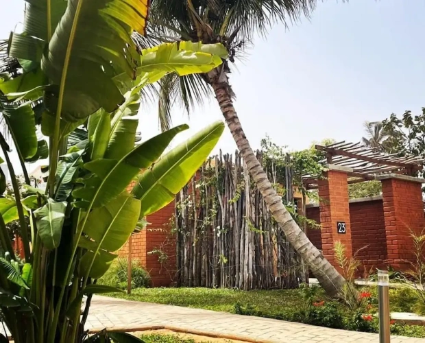Luxury Bungalow