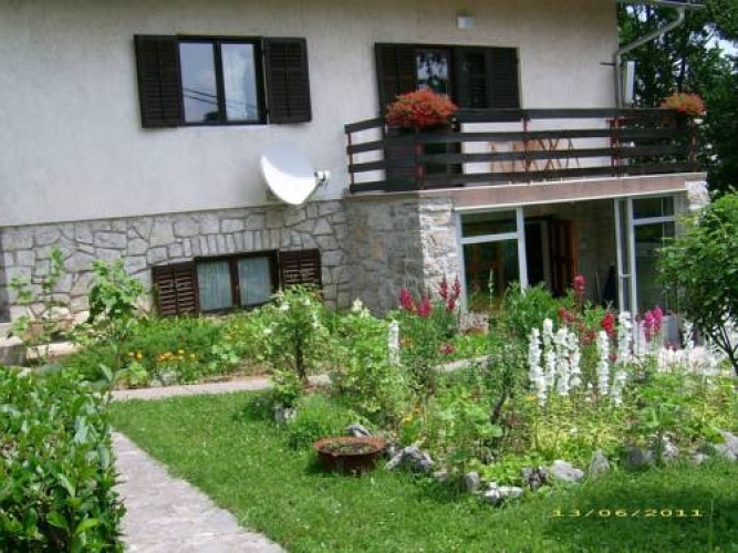 Vila Vuk