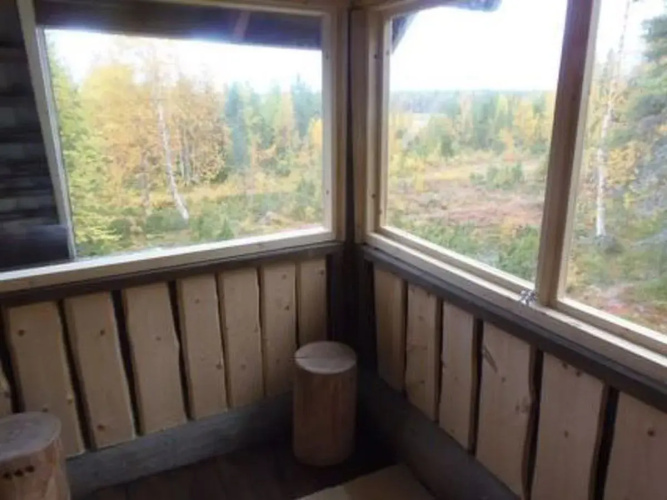 Tunturitähti, lainio