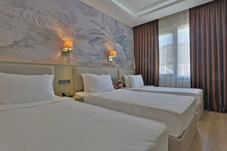 Deluxe Triple room