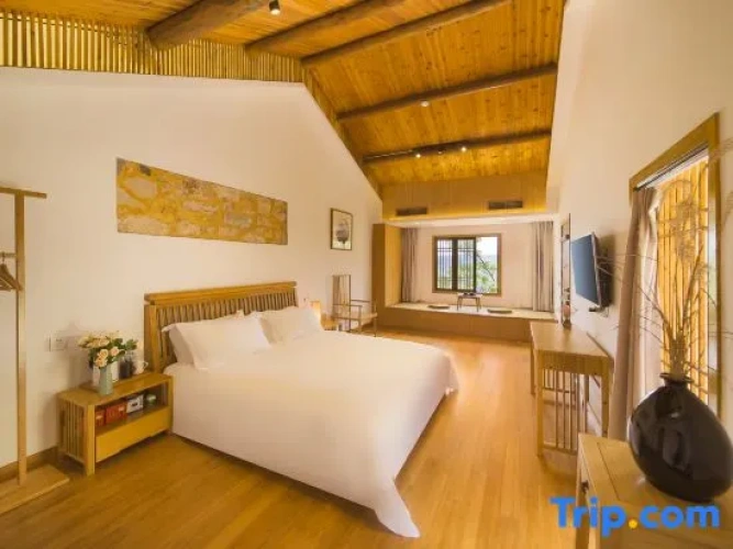 1 Bedroom Suite