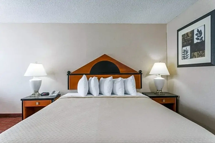 Quadruple Suite