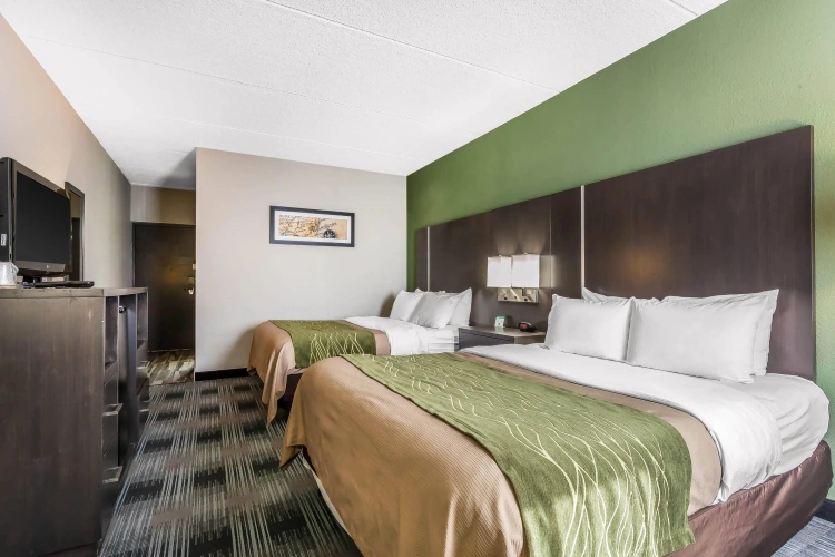 Standard Quadruple room
