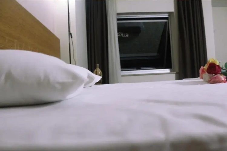 Standard Single room with view