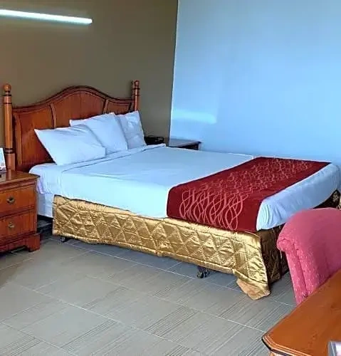 Economy Single room