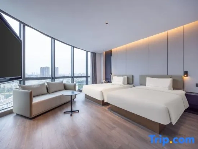Executive Twin room with city view