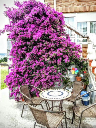 Apartamentos La Pradera de Isla