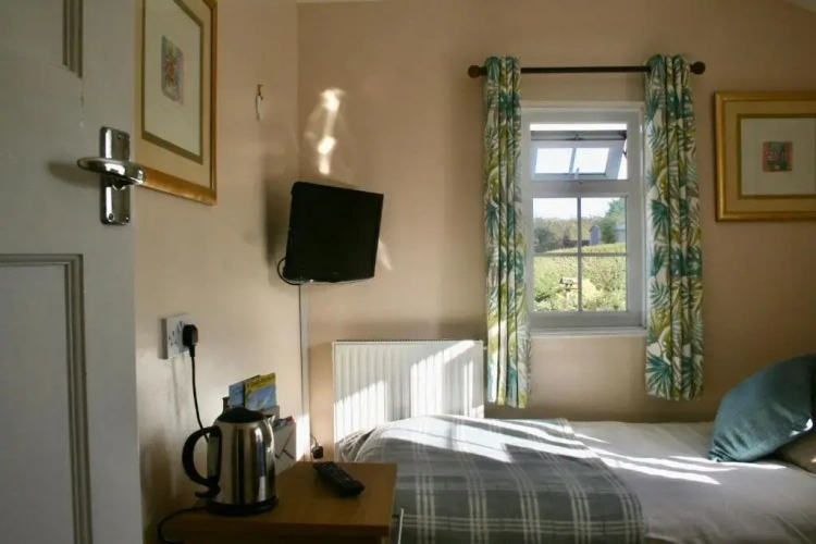 Standard Single room with view