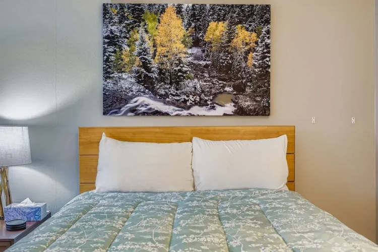 2747 Slopeside Studio