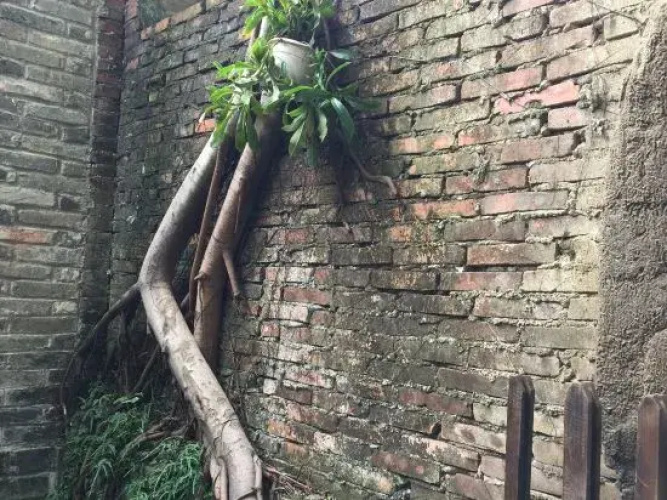 Nanshe Renjia Hostel