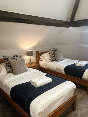 Standard Twin room with river view