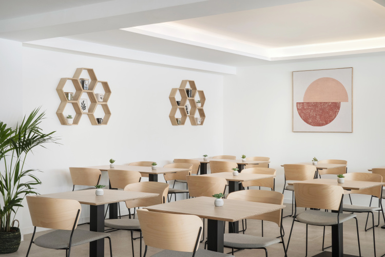 Aparthotel Marina Drach photo 23