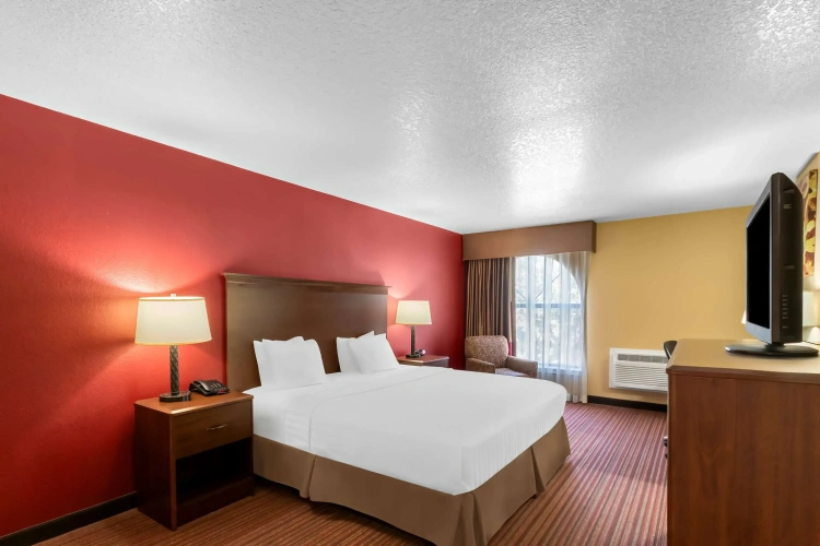 Standard Double room