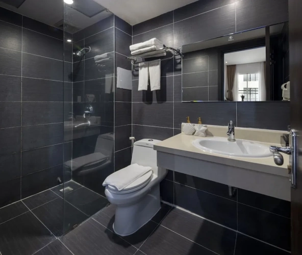 Deluxe Twin room with balcony and with city view