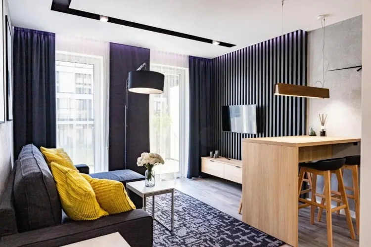 1 Bedroom Apartment