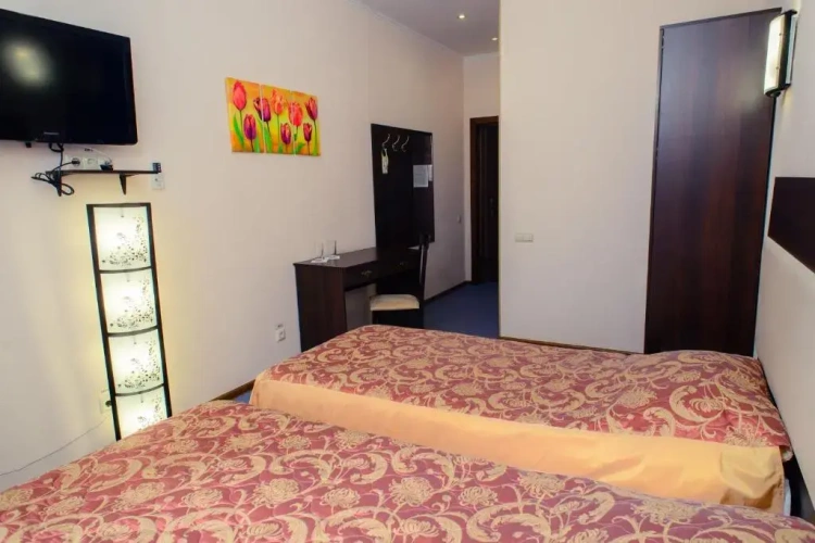 Classic Single room